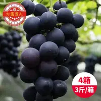在飛比找PChome24h購物優惠-【水果達人】台灣一級巨峰葡萄x4箱(3斤±10%/箱)