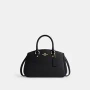 Savannah Small Carryall Bag