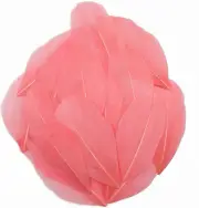 50 Pcs Watermelon Red Craft Feathers, Natural Assorted Colors Goose Feathers for