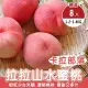 【WANG 蔬果】卡拉部落拉拉山水蜜桃8顆x2盒(1.2-1.4kg/盒_果農直配)