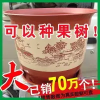 在飛比找樂天市場購物網優惠-仿陶瓷塑料花盆大號特價清倉樹脂花盆盆景盆栽客廳室內花盆