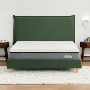 Alta Bed Frame - Queen / Evergreen