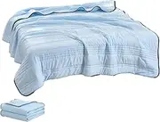 NuvoDreams Cooling Blanket Queen, NuvoDreams Silk Cooling Blanket, Full Size Thin Summer Comforters Ice Silk Quilt, Breathable and Easy to Fall Asleep (Light Blue,70 * 86in)