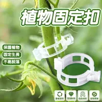 在飛比找樂天市場購物網優惠-植物固定夾 固定器 枝條夾 園藝夾 園藝造景 快速卡扣 園藝