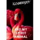 Flamingo!: Are My Spirit Animal - Blank Notebook With Special Nature Cover - Perfect Gift For Everyone To Write In (110 Pages, 6x