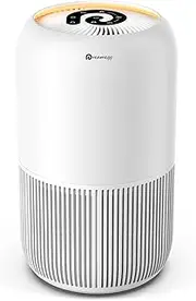 Dreamegg HEPA Air Purifier - Air Purifiers for Bedroom Allergies and Pets, 4-in-1 True HEPA & Activated Carbon Filter, Quiet 360° Air Intake Cleaner with Pet Mode Night Light for Home Smoker Office