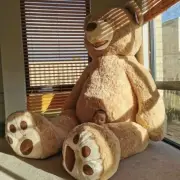 Giant America Bear Plush Toy 100cm Soft Stuffed Animal Birthday/Valentine's Gift