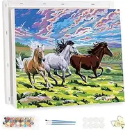 MEIYUDA Painting by Numbers Adults with Frame, Prairie Galloping Horses, DIY Digital Oil Painting Set on Canvas with Brushes and Acrylic Pigment, Artwork for Home Decoration, Gift, 40 x 30 cm