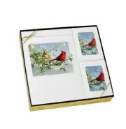 Cardinal Theme Stationery Box Set & 200 Cubic Inch Funeral Cremation Urn