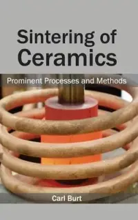 在飛比找博客來優惠-Sintering of Ceramics: Promine