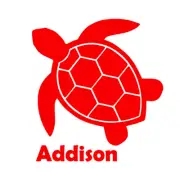 Turtle Decal for Yeti, Car, Truck, Tumbler. Personalized Sticker with Name.