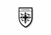 Patch printed shield embroidery border badge souvenir flag county flintshire