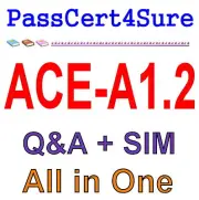 Arista Certified Engineering Associate ACE-A1.2 Exam Q&A+SIM