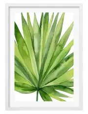 [Profile Australia] Australian Made Fan Palm Leaf Art Print A2 in White Frame