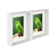 Nicola Spring 8" x 10" White 3D Deep Box Photo Frames - 5" x 7" Mount - Pack of 5