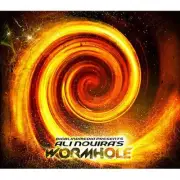 WORMHOLE DVD & GIMMICK BY ALI NOUIRA & BIG BLIND MEDIA MAGIC CARD POCKET TRICKS
