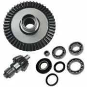 Final Drive Differential Ring Pinion Gear Bearing Oil Seal assembly for TRX 350