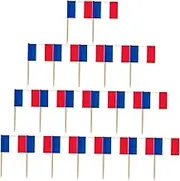 MOLUCKFU 200Pcs National Flag Pattern Cocktail Toppers Creative Dessert Flag Toothpicks Safe Appetizer Picks for Parties Fruit and Drinks Decor
