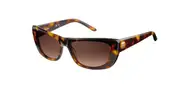 Pierre Cardin P.C. 8442/S 2RY/J6 Women’s Sunglasses Tortoiseshell Size 56