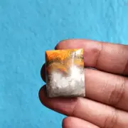 AAA Natural Bumble bee Jasper cabochon