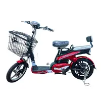 在飛比找蝦皮購物優惠-【98GO電動車】電動腳踏車 電動自行車 電動輔助自行車 E