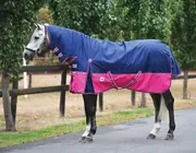 Caribu Alpine Combo Horse Rug 200g - 4.9FT / Navy Red