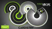 在飛比找Yahoo!奇摩拍賣優惠-【USPCC撲克】 Cardistry Kiwi Ninja