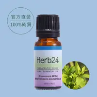 在飛比找PChome24h購物優惠-【草本24。Herb24】羅文沙葉 純質精油 10ml