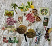 Package of 100 Fussy Cut Garden/Nature Images for Junk Journals, Altered Books