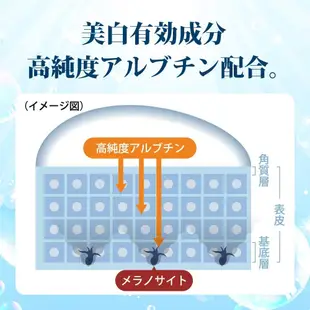 【領卷享優惠】日本境內 樂敦 ROHTO 肌研 白潤 極潤 極水 化粧水 健康 亮白 面膜 潤澤 保濕 薏仁 化妝水