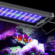 12W Saltwater Aquarium Light for 12" to 18" Fish Tanks Dimmable LED Reef Light