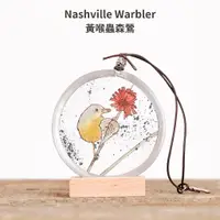 在飛比找蝦皮購物優惠-【Nashville Warbler黃喉蟲森鶯】彩繪玻璃 捉