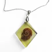 Fossil Ammonite Slice Pendant - Resin Set - 3.5cm