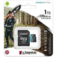 在飛比找PChome24h購物優惠-KINGSTON 1TB 1T microSDXC Canv