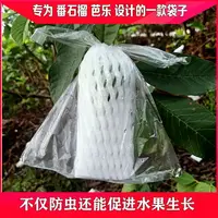 在飛比找樂天市場購物網優惠-防蟲袋 水果保護袋包番石榴芭樂網套袋防蟲鳥透明袋泡沫包裝袋一