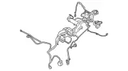 Genuine Ford Wire Harness EG9Z-14290-GMA (for: Ford)