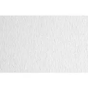 Fabriano Elle Erre Artist Paperboard 220gsm Frost