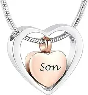 DOTUIARG Heart Stainless Steel Cremation Jewelry for Human/Pet Keepsake Urn Necklace Ashes Pendant