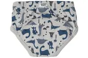 Snazzi Pants: Day Trainers - Dino Dash (2-3 Years)