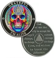 Rainbow Skull 20 Year Sobriety Coin, Grateful I'm Alive AA Coin - AA Chips and Medallion, Twenty Years Recovery Anniversary Token with Serenity Prayer, Sobriety Gifts for Men Women