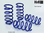 H&R Coil Spring Lowering Kit to suit Renault Megane RS - 2009-on (for: Renault)