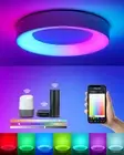 Smart Ceiling Light WiFi, RGB LED Ceiling Light Fixture, 2400LM Flush Mount L...