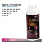 【ISTA】優質活力光合硝化菌 1000ML