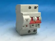 DIN Rail Mounted Smart Miniature Circuit Breaker w/ WIFI, 240V 2 Pole 63A