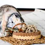 Rabbit Toys for Rabbits Natural Rabbit Activity Mat Organic Natural Chews Rabbit