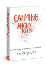 Calming Angry Kids: Help and Hope for Parents in the Whirlwind .. NEW