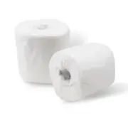 Natural Recycled Bath Tissue, 2-Ply 96 Rolls, 500 Sheets Each Roll Toilet Paper