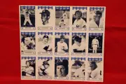 NYY NEW YORK YANKEE wiz card FULL SHEET NETTLES MURCER MUNSON SWEET LOU PINELLA