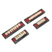 Resin Denture False Teeth Temporary Tooth Repair Kit Dental Material