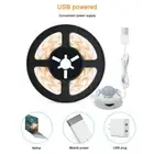 USB PIR Motion Sensor Led Night Light Strip Cabinet Kitchen Closet Lamp DC5V